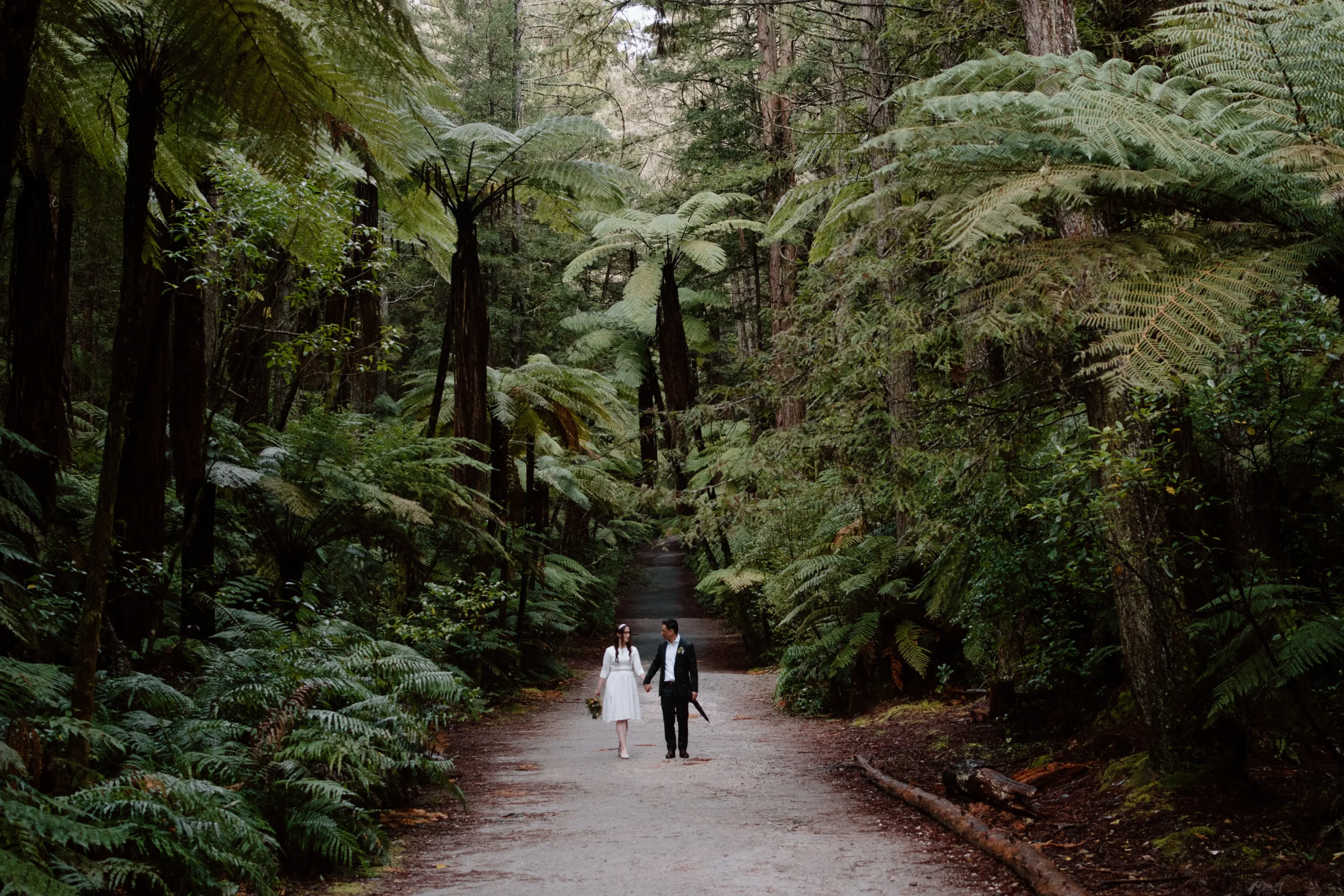 Still lakes, steaming earth, and vows among the redwoods.