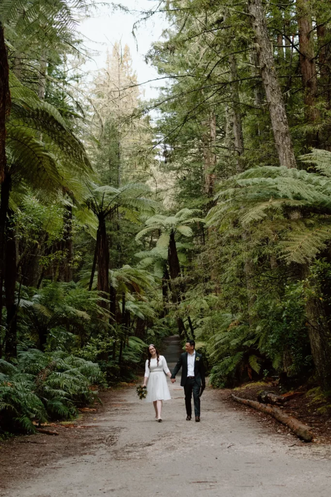 Eloping Wedding Gallery