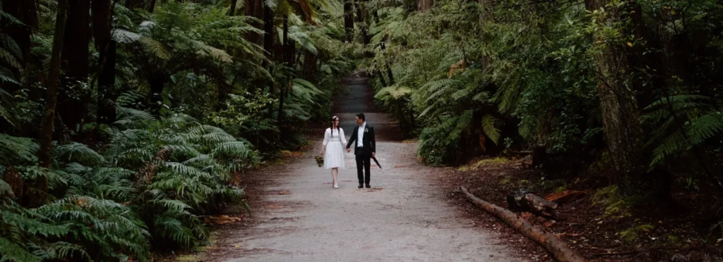 Eloping Wedding Gallery