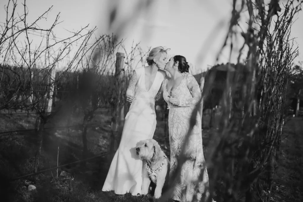 Eloping Wedding Gallery